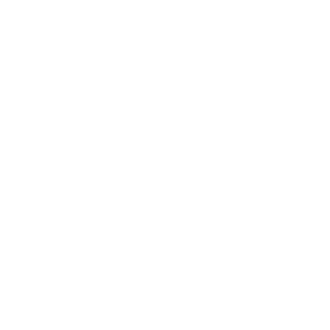 Civic Tour Icon